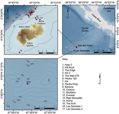 Observations of Litter Deposited in the Deep Waters of Isla del Coco National Park, Eastern Tropical Pacific